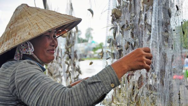 6.Famers catch fish in flood season
