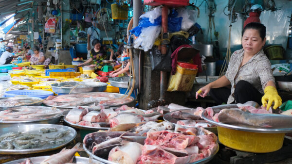 Chau Doc fresh market 1