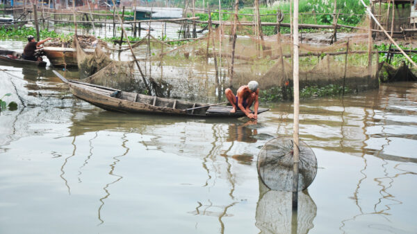 Fish trap 1