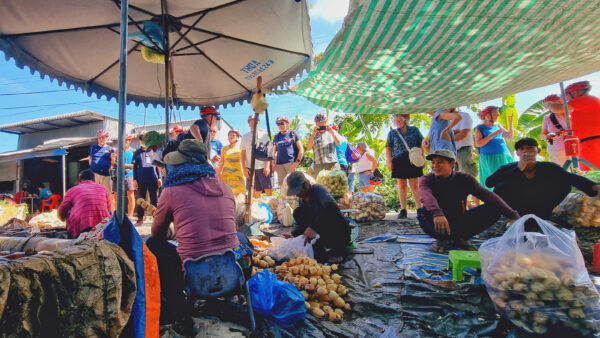 Exploring the Best Delicate Art of Lotus Root Harvesting in Chau Doc City 6 See local harvest lotus