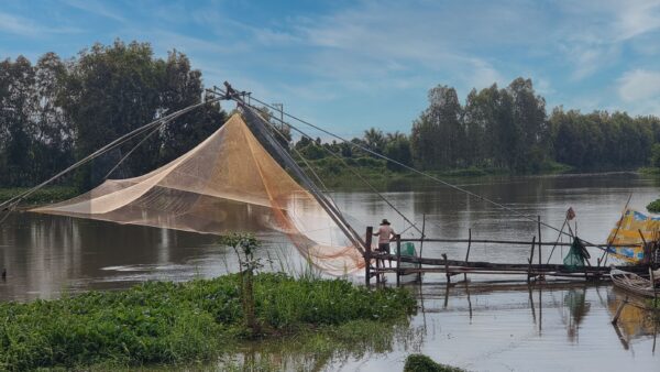 Exploring Chau Doc During Flood Season: The Best Cultural and Culinary Odyssey 1 Local fishermen catching fish by a huge fish net in flood season