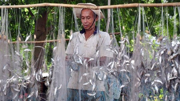 Exploring Chau Doc During Flood Season: The Best Cultural and Culinary Odyssey 6 local fisherman