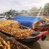Ben Tre banner